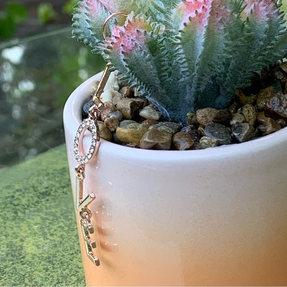 BCBGeneration ROSE GOLD “LOVE” EARRINGS! Long Drop Hook Sparkly Pavé Crystals - Picture 6 of 8